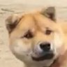 Profilbild von 나그네