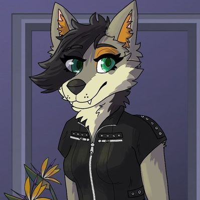 QuinnCoyote117's profile picture