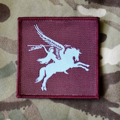 16 Air Assault Brigade Combat Team's profile picture