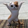 Profilbild von マシュー