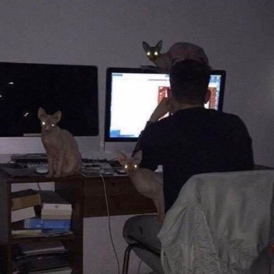 404errorboy's profile picture