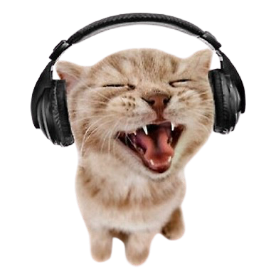 1Wocky's profile picture