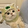 Profilbild von b