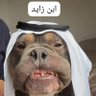 🦅 زول الزول 🦅's profile picture