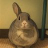 Profilbild von SR