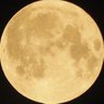 Themoon's profile picture