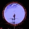 corey *'s profile picture