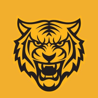 Castleford Tigers's profile picture