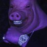 James's profile picture