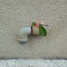 浅見【外国人問題に気付いて下さい】's profile picture