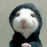 Фото профиля RataRancia