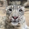 🏳️⚧️jes's profile picture