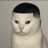Vyron's profile picture