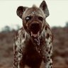 MOORE ๐'s profile picture