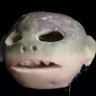 BDN's profile picture