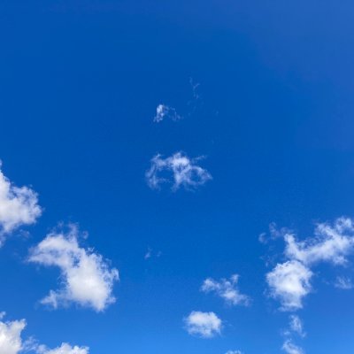 青空's profile picture