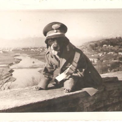 annamariamoscar's profile picture