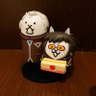 showhey's profile picture