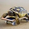 Eppixx's profile picture