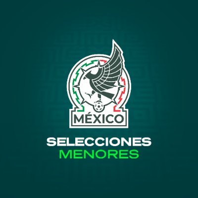 miseleccionsubs's profile picture