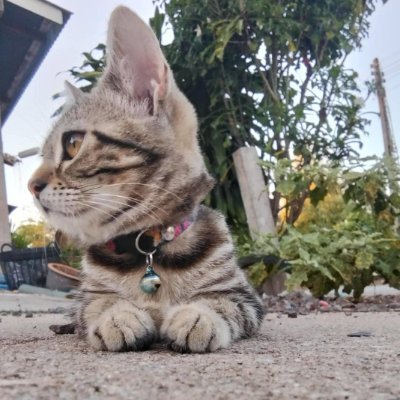 myyMezaa's profile picture