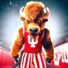 Chips's profile picture