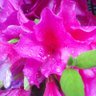 ひかる profil fotoğrafı