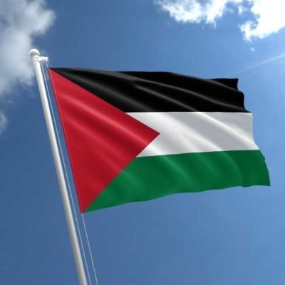 ⛈️ بحر العرب للطقس's profile picture
