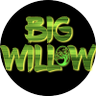 BigWillowMusicVideo's profile picture