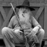 Roy's profile picture