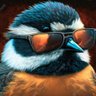 Profilbild von Casey Darling