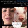 Profilbild von مكافح الفتالات