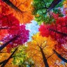 NewAdventuresClub's profile picture