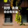 无为ᴮˡᵘᵉ 的头像