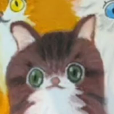mokkougenta's profile picture