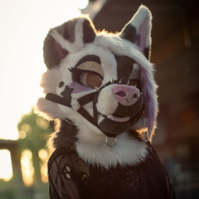 Bailey (lilpixiekitten)'s profile picture