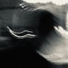 HumbleFish's profile picture