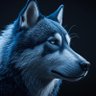 FlyntHuskyWolfdog profil fotoğrafı