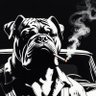 OldDog 🇺🇲 profil fotoğrafı
