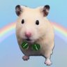 kinako🦊🪬's profile picture
