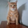 Фото профиля เคียงรัก