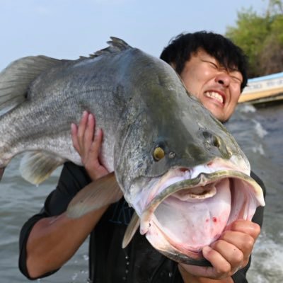 MaenoShintaro's profile picture