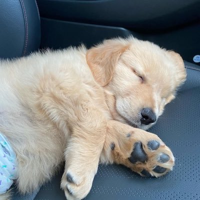 𝙗acon (rest)'s profile picture