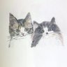 ウーシーズ😺🐮〜生涯ヒスブル＆Tamaちゃん推し🌸〜 profil fotoğrafı