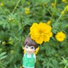 Фото профиля tama6889🍮💚(みなさんに感謝💚ᩚ)