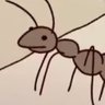 Profilbild von Nort Cost