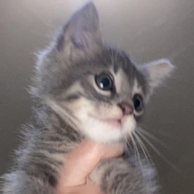 hbn108074111465's profile picture