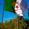 Saïd Démocrate's profile picture