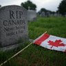 The Fed up Canuck profil fotoğrafı