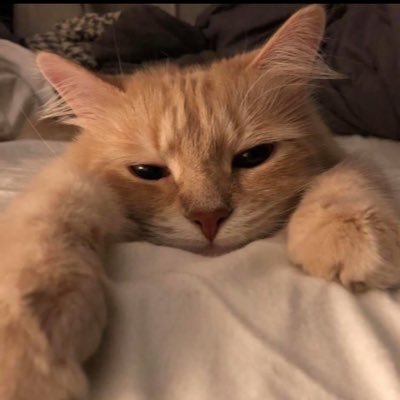 jhshshghxyz's profile picture